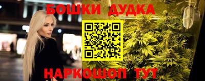 дживик Дубна