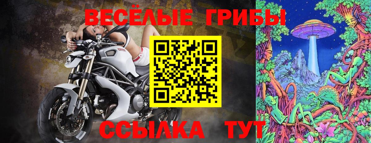 Галлюциногенные грибы GOLDEN TEACHER Кыштым